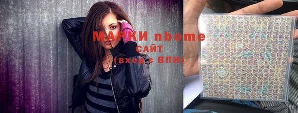 соль ск Няндома