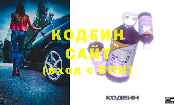 соль ск Няндома