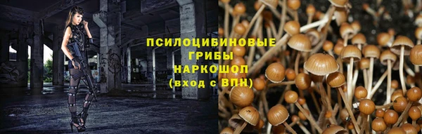 первитин Армянск
