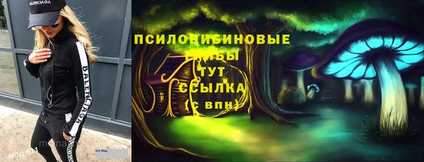 соль ск Няндома